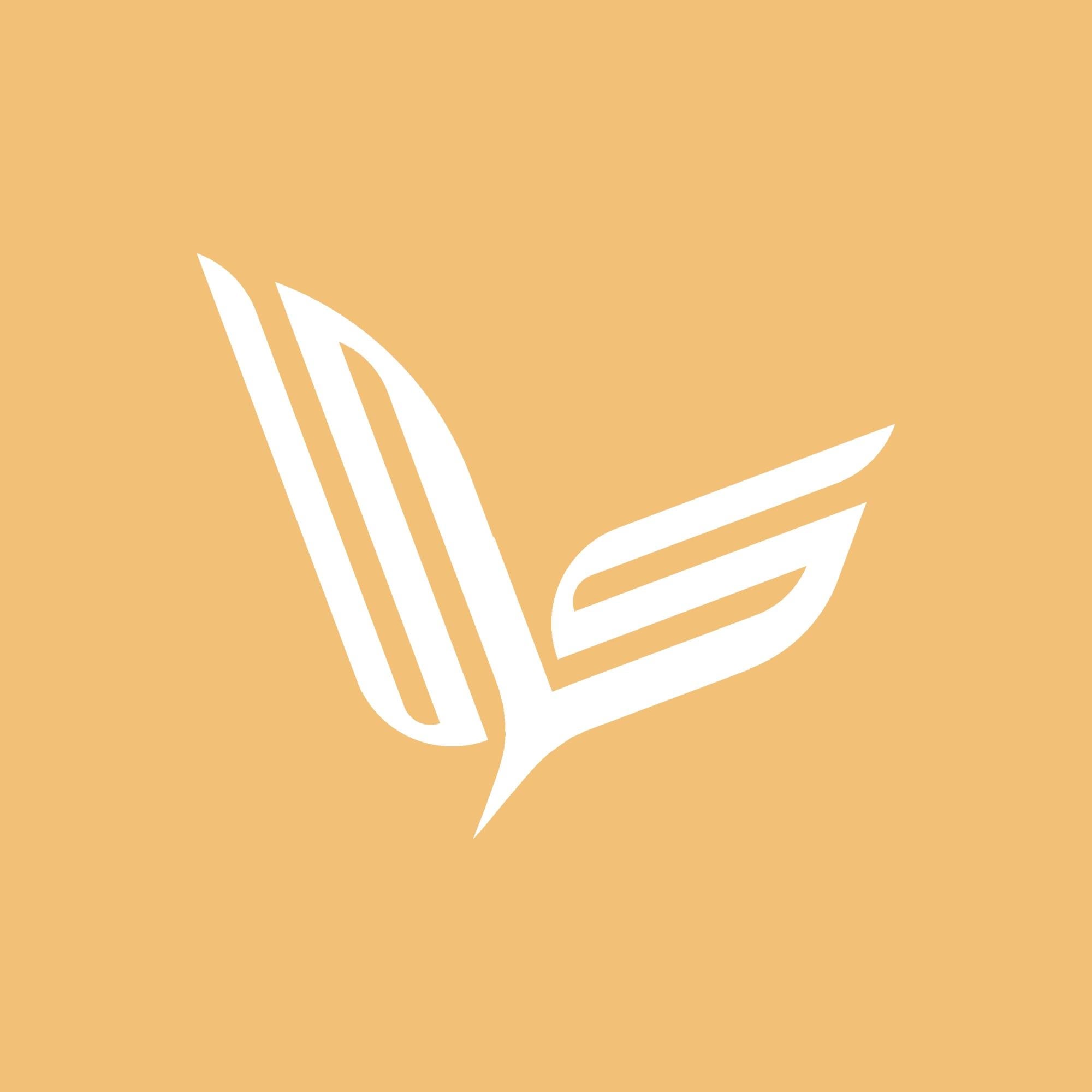 Logo Design | Laqta.tn